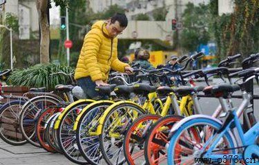 新乡数码